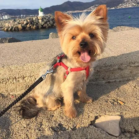 Chalet Argonos * Argoños