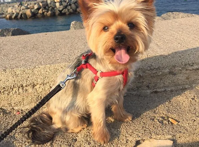 Chalet Argonos * Argoños